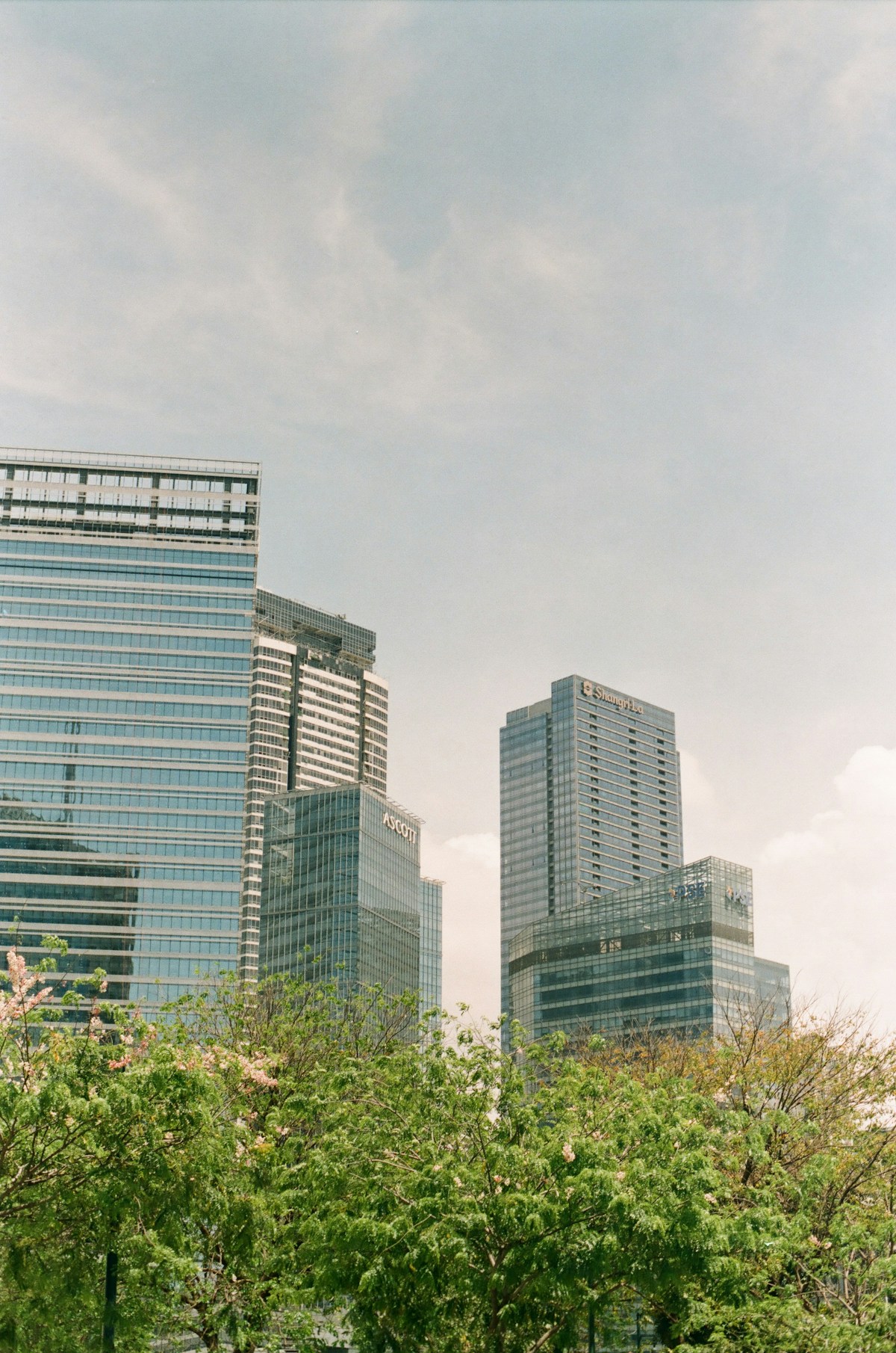 White and blue concrete building during daytime in the Philippines
